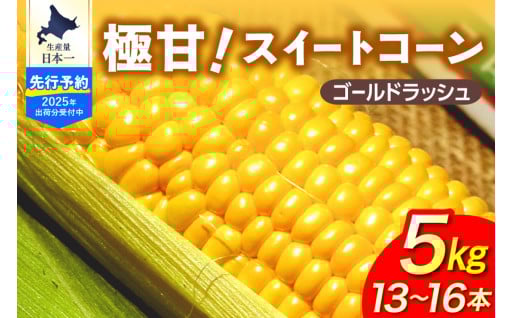 【先行受付】【2025年8月より発送】北海道十勝芽室町 ファームミリオンの極甘スイートコーン 5kg
