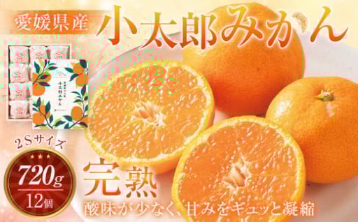 愛媛県産 小太郎みかん 2Sサイズ 720g