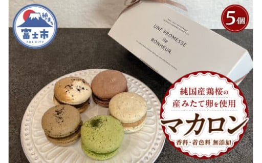 マカロン 5個入 抹茶 アールグレイ コーヒー ほうじ茶 ショコラ　[sf001-218]