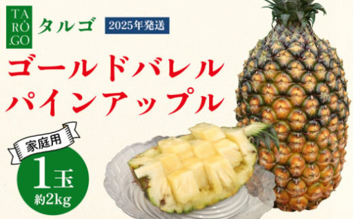 TARUGO　ゴールドバレルパイン約2kg（1玉）