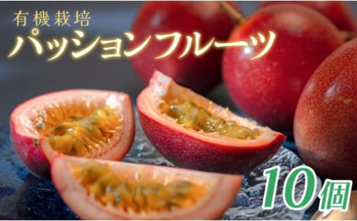 南国の香り🎶甘酸っぱく爽やかなパッションフルーツが新登場🌞