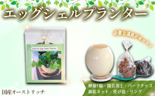 国産オーストリッチエッグシェルプランター