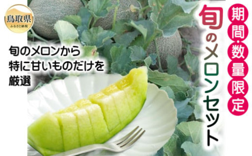 B24-215 旬のメロンセット【期間･数量限定】