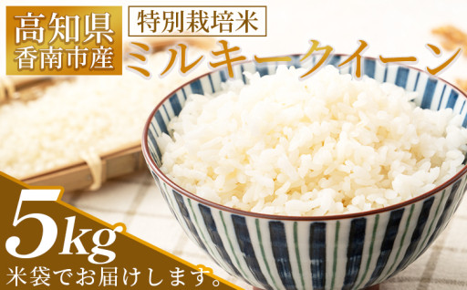 【新規返礼品のお知らせ！！】特別栽培米 ミルキークイーン ５ｋｇ
