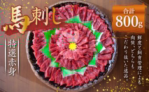 熊本 馬刺し 特選 赤身 800g (50g×16) 