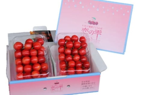 さくらんぼ 紅秀峰｢恋の雫｣ 約700g （約350g×2パック）【2025年7月上旬より発送予定】