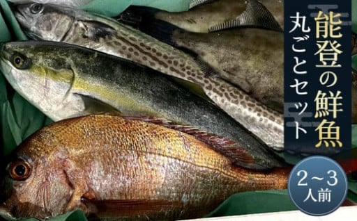 【石川県能登町】【復興支援】能登の鮮魚丸ごとセット【2～3人前】