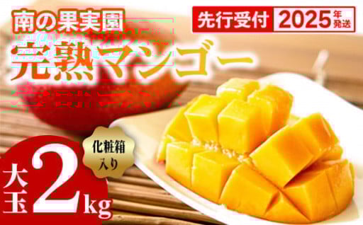 【贈答用化粧箱入り】南の果実園 完熟マンゴー 大玉2kg（4玉）【2025年発送】