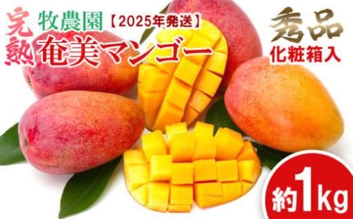 完熟奄美マンゴー 秀品 約1kg（化粧箱入）