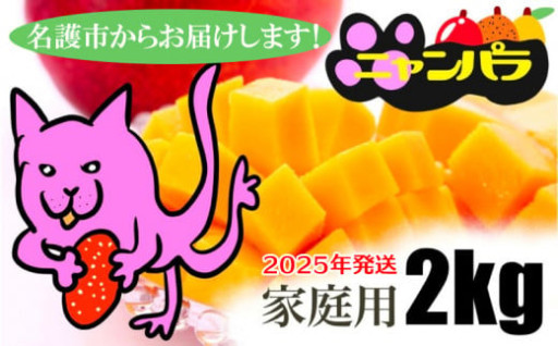 名護市からお届けします！家庭用マンゴー　2kg以上