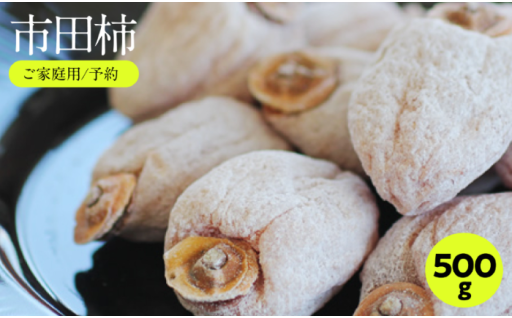 信州の特産品「市田柿」ご家庭用 500g