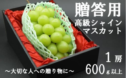 【新規】贈答用！希少価値の高い高級シャインマスカット（１房 ６００ｇ以上）
