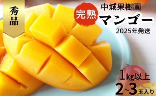 中城果樹園の完熟マンゴー≪秀品≫ 1㎏以上