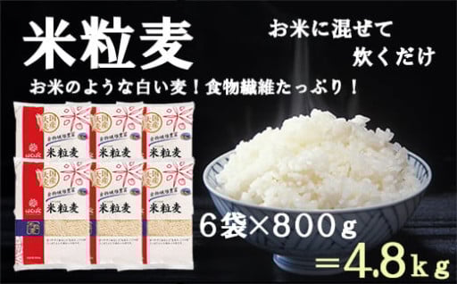 【新規】【はくばく】【大麦の食物繊維は玄米の２．８倍】米粒麦 ６袋（１袋８００ｇ）　お米に混ぜて炊くだけ！