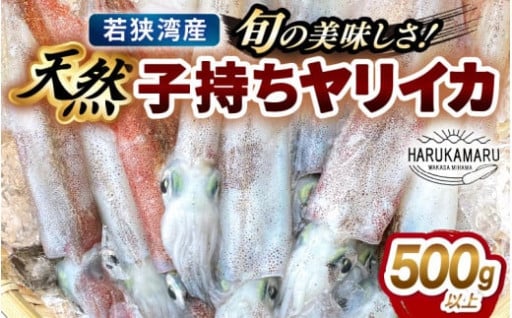 【今が旬】プリップリの高鮮度✨地元でも評判の美味