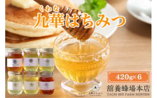 舘養蜂場本店 九華はちみつ大容量セット420ｇ×6本 国産
