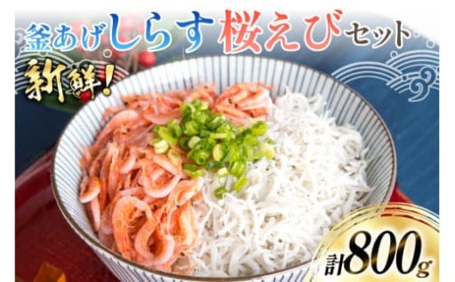 鮮度抜群！旨味たっぷり極上釜あげしらす&桜えび！