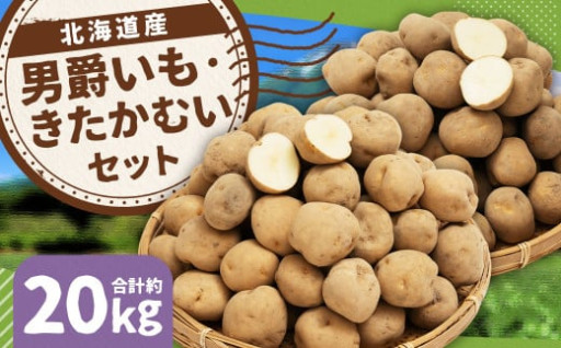 じゃがいも 男爵 きたかむい Lサイズ 各約10kg×1箱 計約20kg （JA）