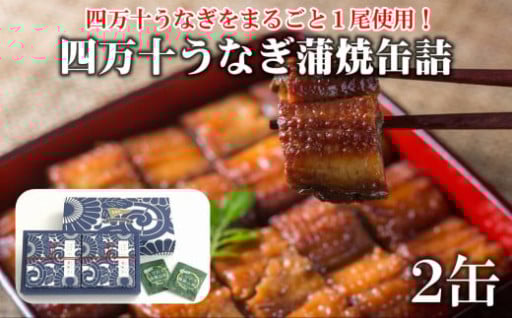 四万十うなぎ 缶詰 蒲焼 2缶セット（山椒付き）