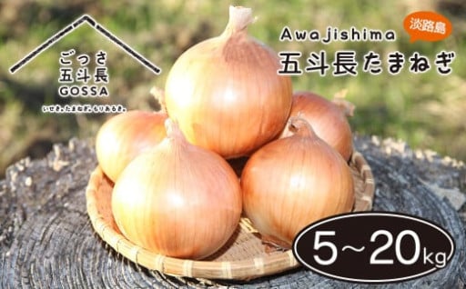 五斗長たまねぎ 5kg～20kg