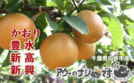 【農家直送・予約受付】かおり・豊水・新高・新興