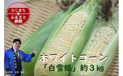 大分県日出町産　ホワイトコーン「白雪姫」