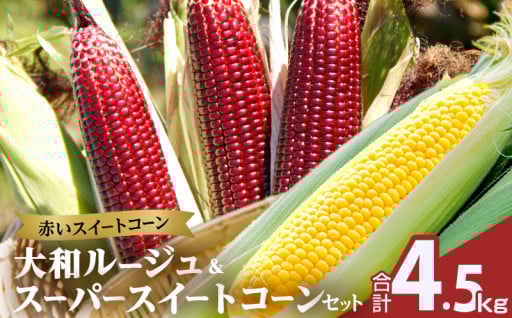 【宮崎県都農町】🌽＼先行予約受付中／都農町産『赤いスイートコーン大和ルージュ&スーパースイートコーンセット』🌽