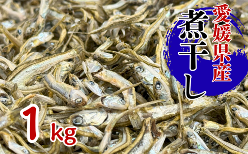 【愛媛県産】瀬戸内海の煮干し 1kg