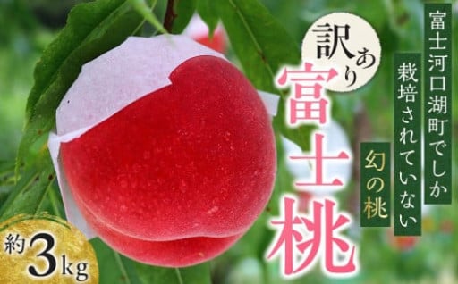 訳あり☆オリジナルブランド 富士桃 約3キロ
