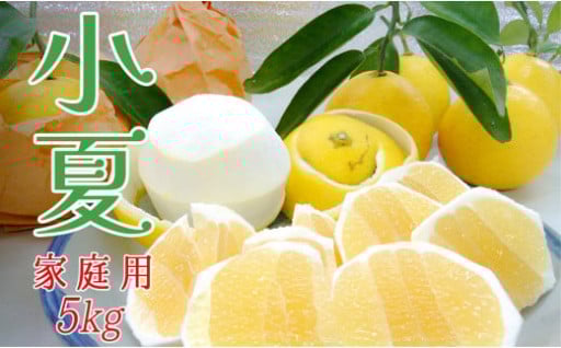 📣残りわずか！！【受付：６月22日まで】初夏にピッタリの柑橘、「小夏🍊」