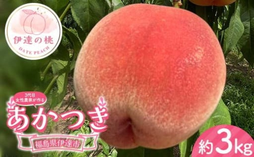 【6/30受付終了】3代目の女性の農家が作る桃あかつき 約3kg（9～12玉）