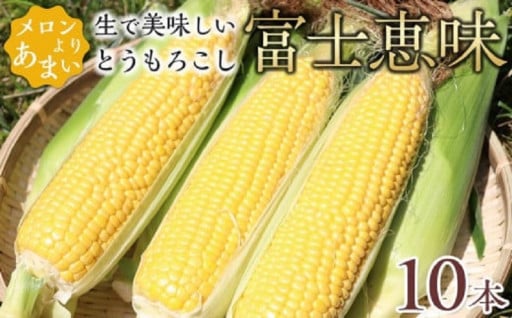 生で美味しいとうもろこし富士恵味１０本セット
