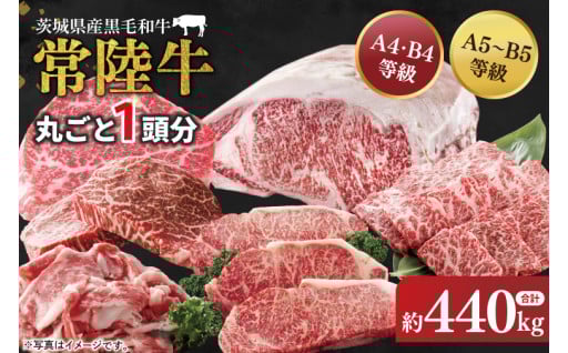 常陸牛 丸ごと１頭分 約440kg
