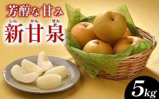 新甘泉（しんかんせん）5kg（JA）※2025年8月下旬～9月上旬頃に順次発送予定