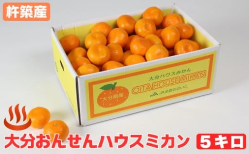 大分おんせんハウスミカン 約5kg（バラ詰め）