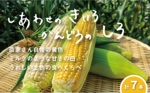 新鮮とうもろこし2色セット