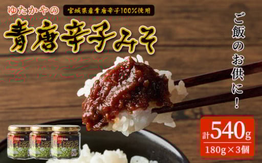ゆたかやの 青唐辛子みそ 180g×3個