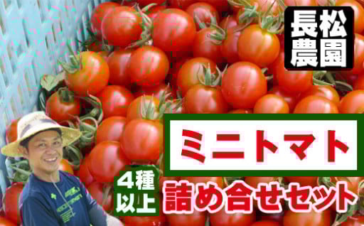 長松農園のミニトマトをどどんと2キロお届けします