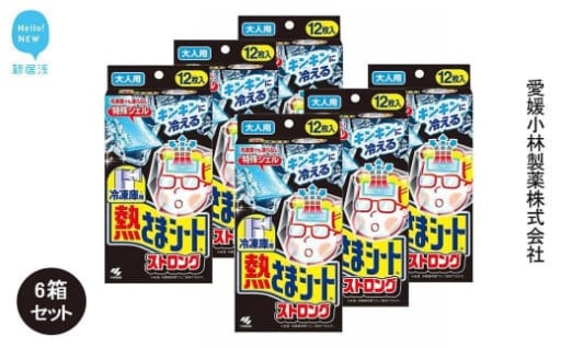 冷凍庫用熱さまシートストロング 大人用×6箱