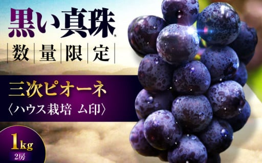 ＼皆様の声で出品決定！／【数量限定】三次ピオーネの先行予約始まりました！