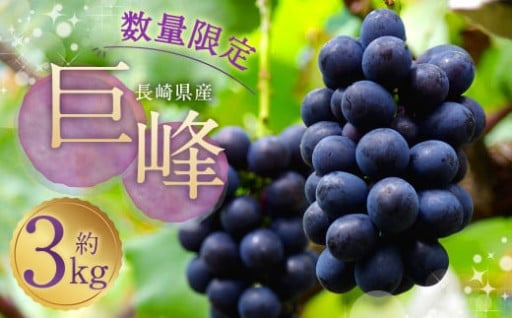 🍇 種あり巨峰 約3kg 🍇