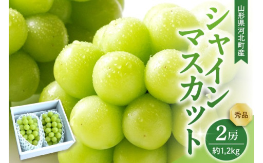 ✨【令和7年産】 ぶどう シャインマスカット 2房入り（1房600g前後） 秀品  ka074-023✨