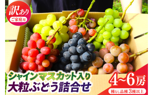 【農家さんおまかせ】訳あり 大粒ぶどうの詰合せ