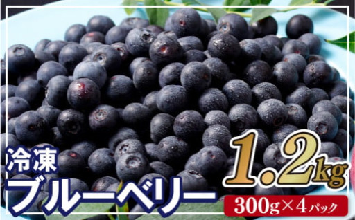 冷凍ブルーベリー ｢あいあいの雫｣ 計1.2kg (300g×4P) 