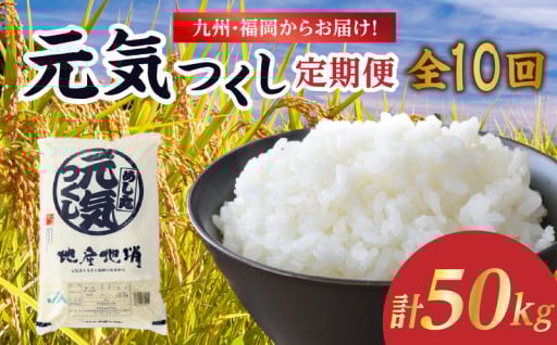 ブランド米「元気つくし」定期便【全10回】