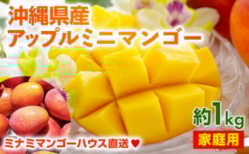 【家庭用】ミナミマンゴーハウスのアップル ミニマンゴー約1kg【2025年発送】