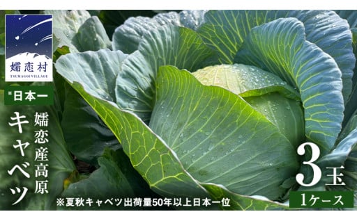 ＼7月上旬発送開始／嬬恋産 高原キャベツ3玉