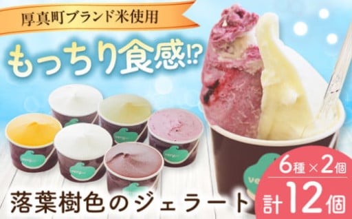 クセになる！なめらか食感、米粉のジェラート