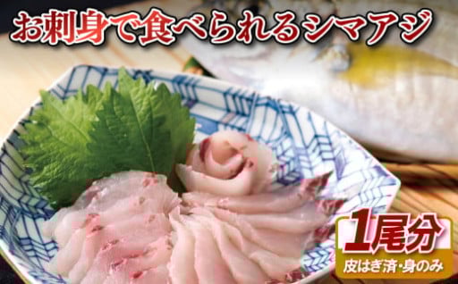  ｢活〆急速冷凍｣お刺身で食べられるシマアジ