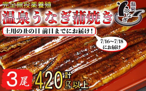 【土用の丑 前日までにお届け】国産うなぎ蒲焼3尾